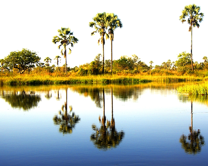 Africa-0107
