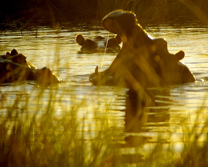 Africa-0120