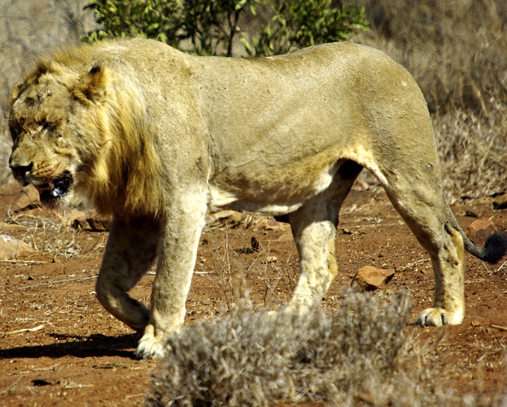 Africa-0174
