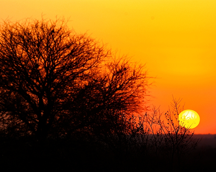 Africa-0179