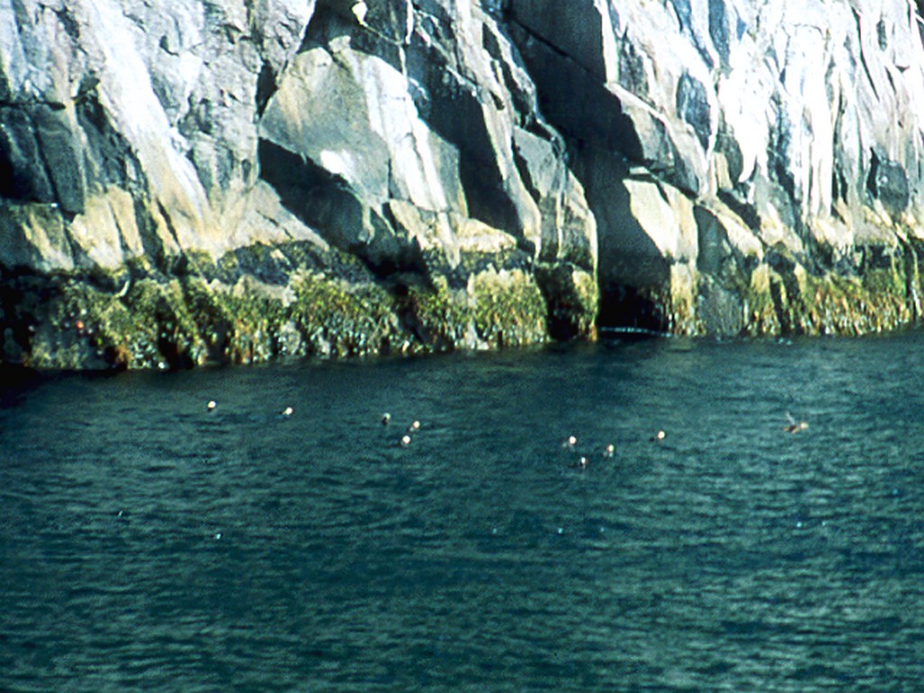 Alaska-1998-0102
