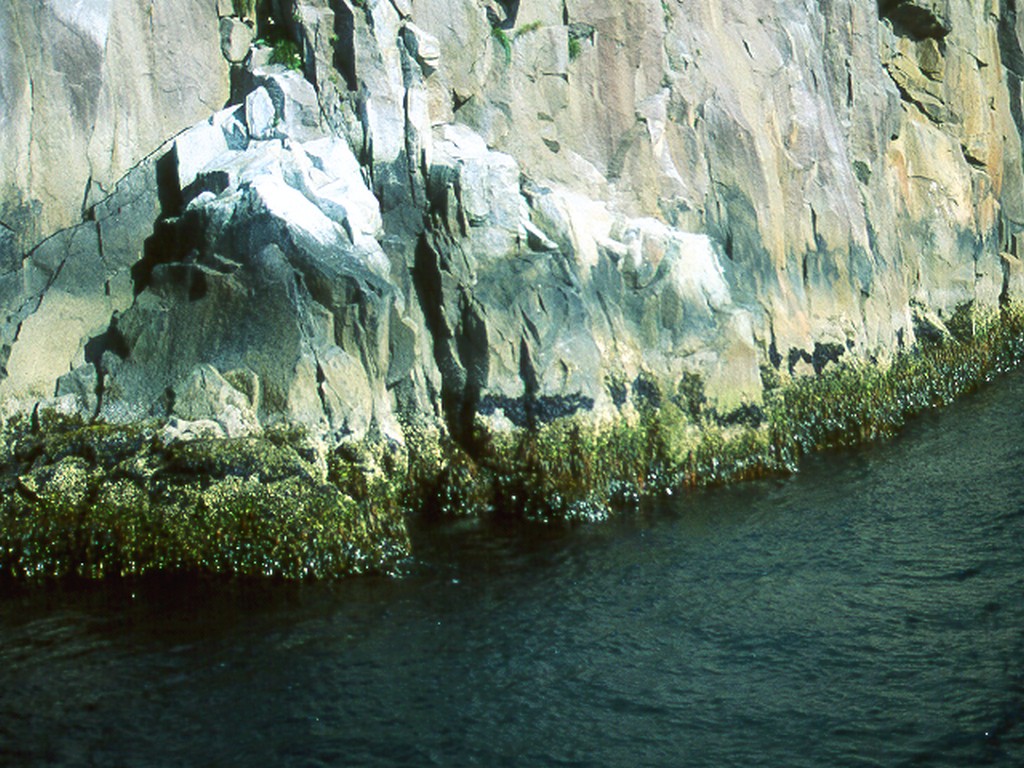 Alaska-1998-0104