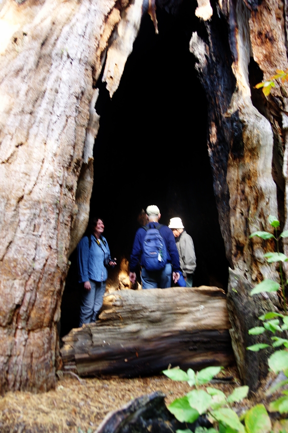 BigTreesStatePark-0096