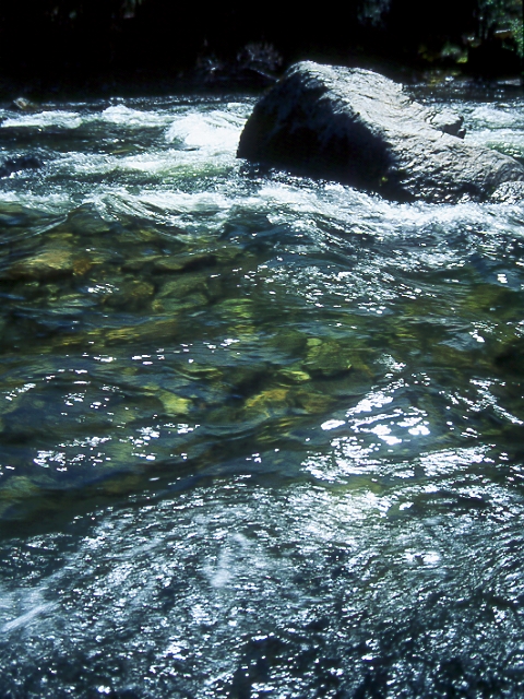 Yosemite-0095