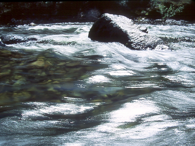 Yosemite-0096