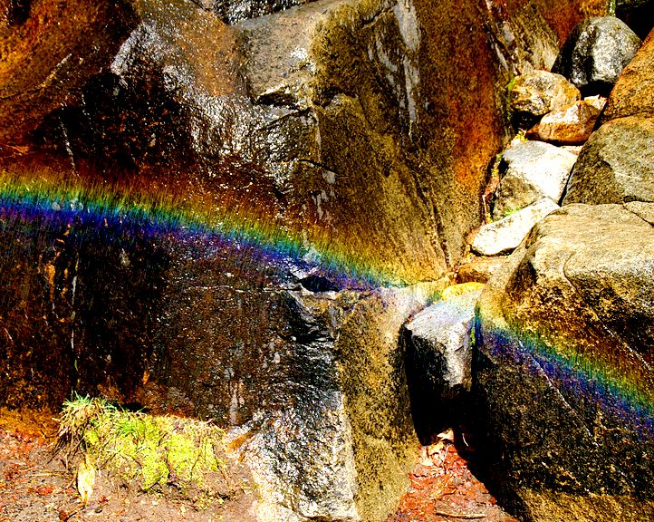 Yosemite-0101