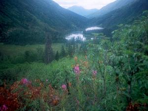 Alaska-1998-0015