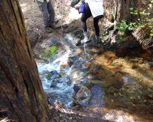 Waterfall at upper stream crossing (#3)