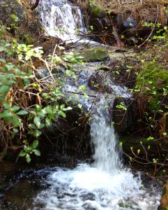 Waterfalls below lower stream crossing (#7)