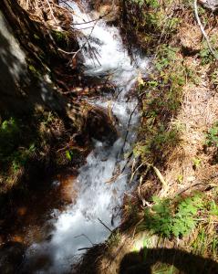 Waterfalls at lower stream crossing (#7)