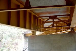 BigTreesStatePark-0090