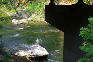 BigTreesStatePark-0091