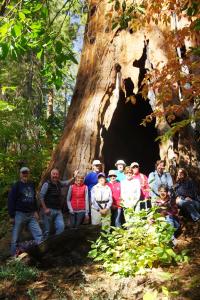 BigTreesStatePark-0098