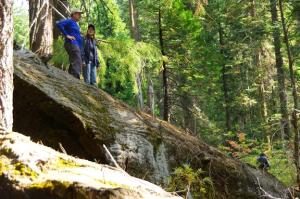 BigTreesStatePark-0100