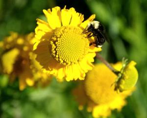 BigTreesStatePark-0113