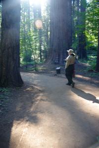 BigTreesStatePark-0123