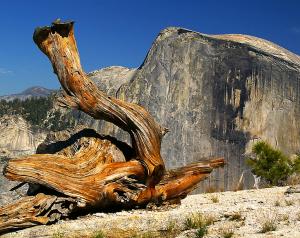 Yosemite-0051