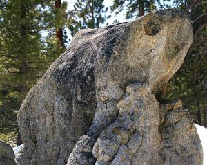 Yosemite-0105