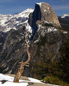 Yosemite-0108