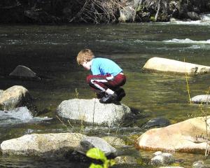 Zack-0658